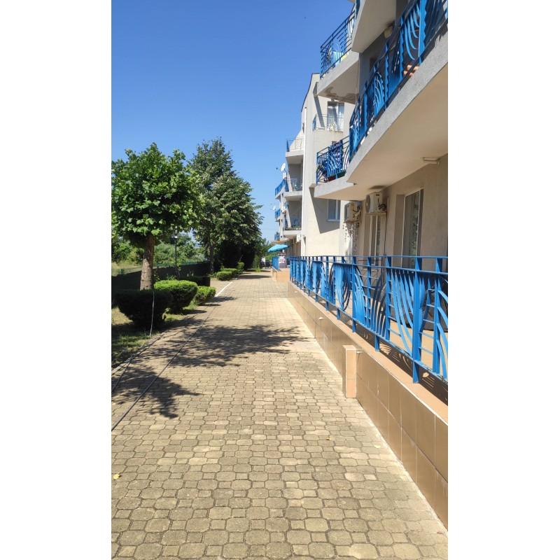 Sunny Day 4